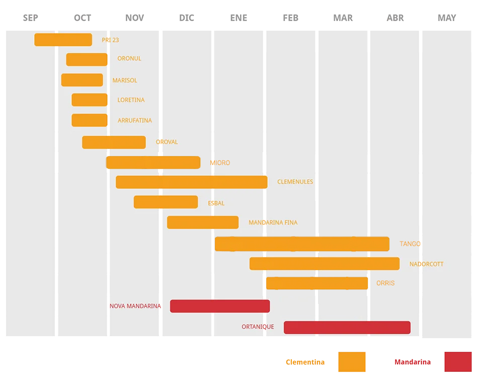 Calendario de variedades Dracma